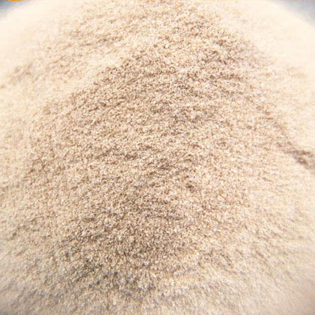 Alta qualità Drug Sodio Alginate Food Grade Medical Idrofili Utilizza il sodio alginato in polvere per l'addensante industria tessile per uso tessile